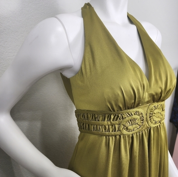NWT Max And Cleo Apple Halter Maxi Dress Size 4 - Picture 10 of 14